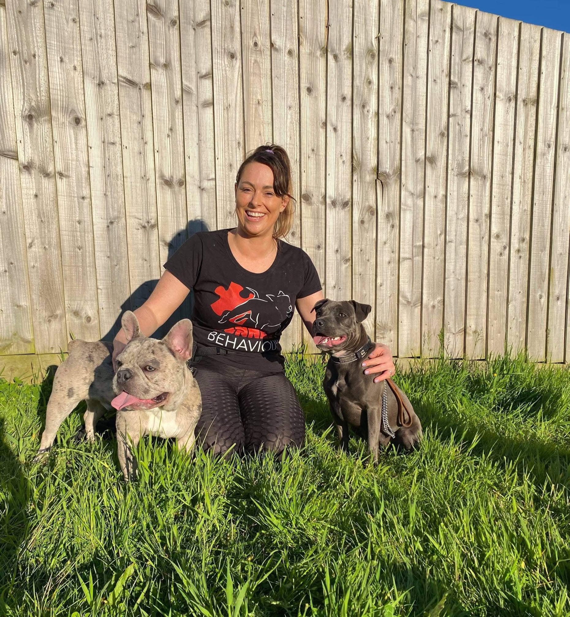 connect dog training behaviour team Connect Behaviour dog training social